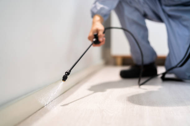 Licensed Rodent Control service in Edwards AFB, CA - Nex Pest Control