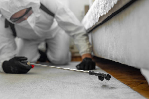 Professional Rodent Control technician working in Edwards AFB, CA