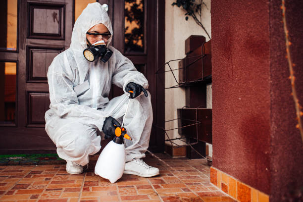 Reliable Rodent Control contractor in Edwards AFB, CA by Nex Pest Control