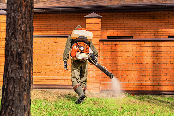 Top rated local Rodent Control specialists in Edwards AFB, CA